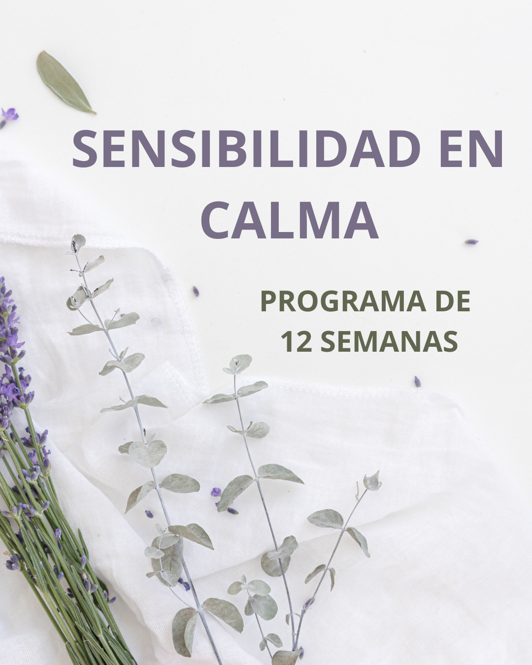 Programa sensibilidad en calma